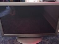 TV Panasonic + DVD Player Philips - Hamburg Hamburg-Nord