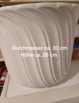 Blumenübertopf für innen - Beindersheim