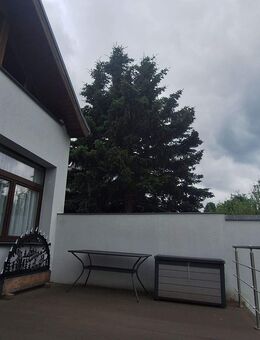 +++EINFAMILIENHAUS+++TOP LAGE-TAUCHA+++SIEDLUNG+++SCHÖNES GRUNDSTÜCK +++ KELLER+++XXL-GARAGE+++GUTE INFRASTUKTUR+++ - Taucha