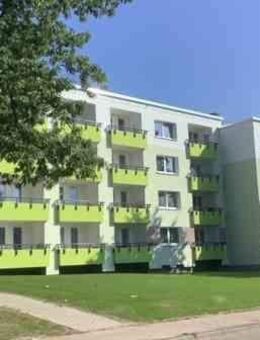 Schöne und renovierte 3-Raumwohnung in Baumheide zu vermieten. - Bielefeld