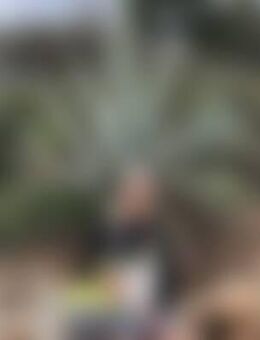 Dor*** - Gunzenhausen