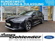 Ford Focus, , Jahr 2023 - Kandel