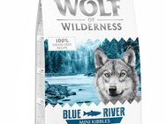 Wolf of Wilderness Adult "Blue River" Lachs - getreidefrei - Sparpaket: 5 x 1 kg MINI