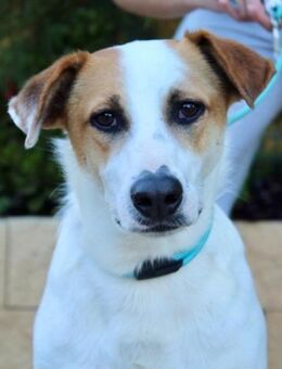 Truman sucht Menschen mit viel Geduld - Laatzen