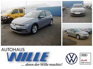 VW Golf, 2.0 TDI VIII Life, Jahr 2021 - Wernigerode