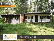 Wochenendhaus im Wald zum herrichten - Oerlinghausen