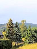 Ferienwohnung Zimmer Wohnung FeWo Vermietung in 08248