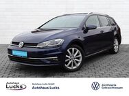 VW Golf Variant, 1.5 TSI Highline, Jahr 2019 - Artern (Unstrut)