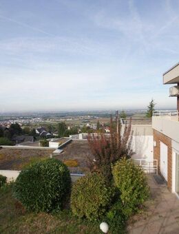Großzügig wohnen mit unverbaubarem Blick in die Rheinebene - Weinheim