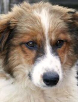 Süß, süßer: Kian! Und so lieb! - Karben