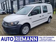 VW Caddy, Kasten Maxi TDI, Jahr 2018 - Cloppenburg