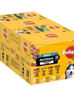 Pedigree Adult Frischebeutel Protein Plus in Gelee - Sparpaket: 48 x 85 g (4 Varietäten)