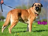 Nadja entspannt, lieb und gehorsam 01/17 - Ruppertsecken