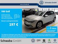 VW Golf, 1.5 TSI Life LANE, Jahr 2023 - Gersthofen