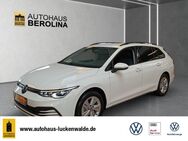 VW Golf Variant, 2.0 TDI Golf VIII Life, Jahr 2024 - Luckenwalde