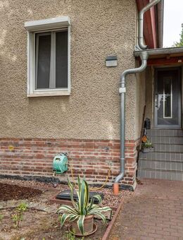 Charmanter Altbau mit Hammergrundstück zur Selbstverwirklichung mit abrissreifer Laube! - Berlin