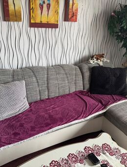 zu verschenken - Berlin Marzahn-Hellersdorf