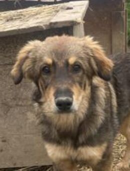 Lass Falcon direkt in dein Herz fliegen! - München