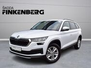 Skoda Kodiaq, 2.0 TDI Ambition, Jahr 2023 - Verden (Aller)