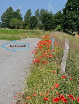 Hof mit 5.804 m² Land in Alleinlage! - Medow