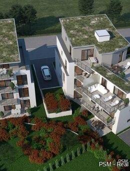 + + + Penthouse im Herzen von Karben + + + Wohnung mit 86 m² mit großer Terrasse 31,16 m² ( Penthouse Style ) - Karben