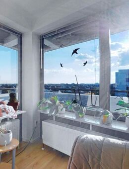 Exklusive 3-Zimmer-Wohnung mit Wellnessangebot: Pool und Sauna inklusive - Neu Ulm