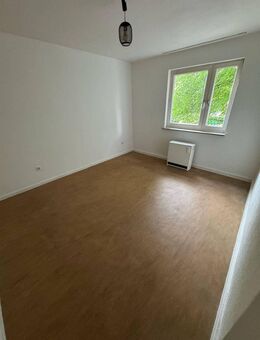 Frisch renovierte 2-Zimmer-Wohnung mit Balkon. Ruhig und grün in Kassel-Oberzwehren - Kassel