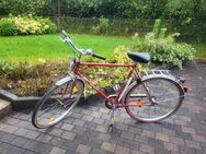 Herkules Herrenfahrrad, sehr gut erhalten, Vintage aus dem 1980er Jahren; kaum gefahren - Marburg