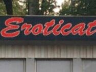 Jemand heute im Eroticats Potsdam - Brandenburg (Havel)