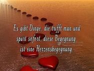 My Soulmate ❤️ - Löhne