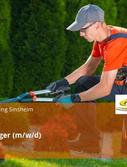 Baumpfleger (m/w/d) - Sinsheim
