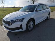 Skoda Octavia, 1.5 TSI Kombi GV5, Jahr 2025 - Achern