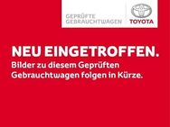 Toyota C-HR Team D, AHK abnehmbar, Dachfolierung - Wyhl (Kaiserstuhl)