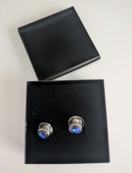 Ohrstecker - Koblenz