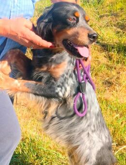 🧡Velia - in Deutschland zur Pflege - Würzburg