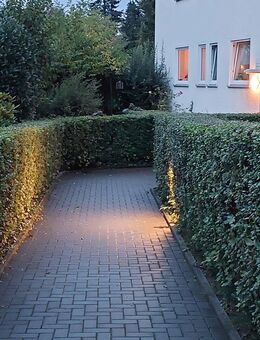 gemütliche Zweizimmerwohnung in Rheinnähe - Bonn