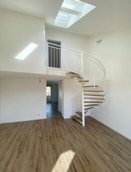 Licht, Luft und Stil - Freiburg (Breisgau)