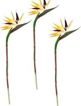 Kunstblume Künstliche Blume Strelitzie Paradiesvogelblume Exotischer Dekozweig, I.GE.A., Höhe 85 cm, Zweig Einzelblume Dekoblume Stielblume Hochzeit Dekoration