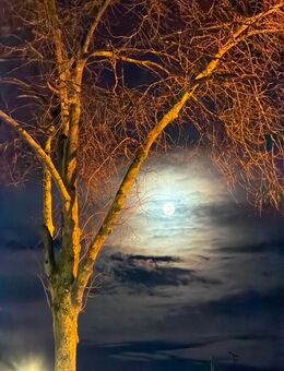 Gemeinsam einsam hatte ich schon … - Duisburg