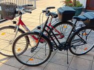 Zwei 28" Hollandräder/Cityräder inkl. Zubehör - # Guter Zustand # - Rodgau