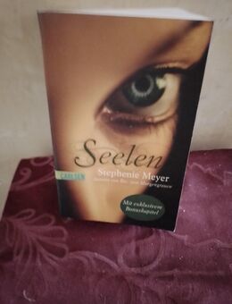 St.Meyer," Seelen"; sie kommen um dich zu besitzen, um dich nach ihren Willen zu steuerrn - Nürnberg Zentrum