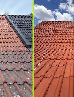 Professionelle Dachreinigung und Dachanstrich, Reinigung von Pflastersteinen, Fassadenreinigung,Reinigung von Zäunen - Frankfurt (Oder)