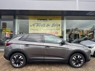 Opel Grandland X, Design Line, Jahr 2019 - Ottersberg