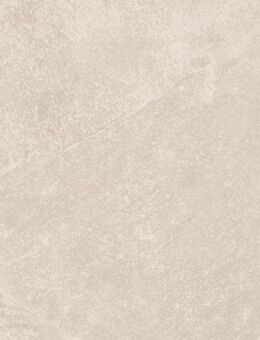 Fliesen Restposten 30x60 cm – Feinsteinzeug - Villingen-Schwenningen