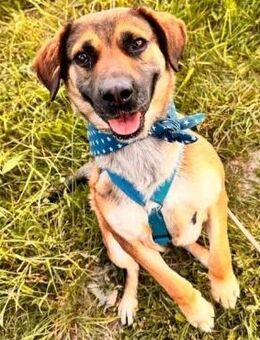 ❤️🔥sehnsüchtig wartende Peppa❤️🔥 - Eislingen (Fils)