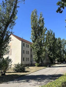 ++Frisch sanierte und helle 3-Raumwohnung mit EBK++ - Aschersleben