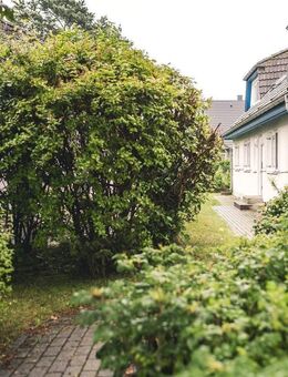 Eine Wohnung zum Verlieben im Ostseebad Prerow - Prerow (Ostseebad)