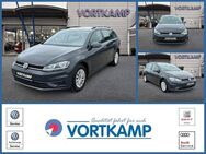 VW Golf Variant, Golf VII Trendline, Jahr 2019 - Gronau (Westfalen)