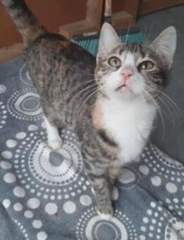 Ariane, kleine Abenteurerin, ca. 8 Monat - Vaterstetten