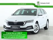 Skoda Octavia, 2.0 TSI Combi Style, Jahr 2024 - Gersthofen